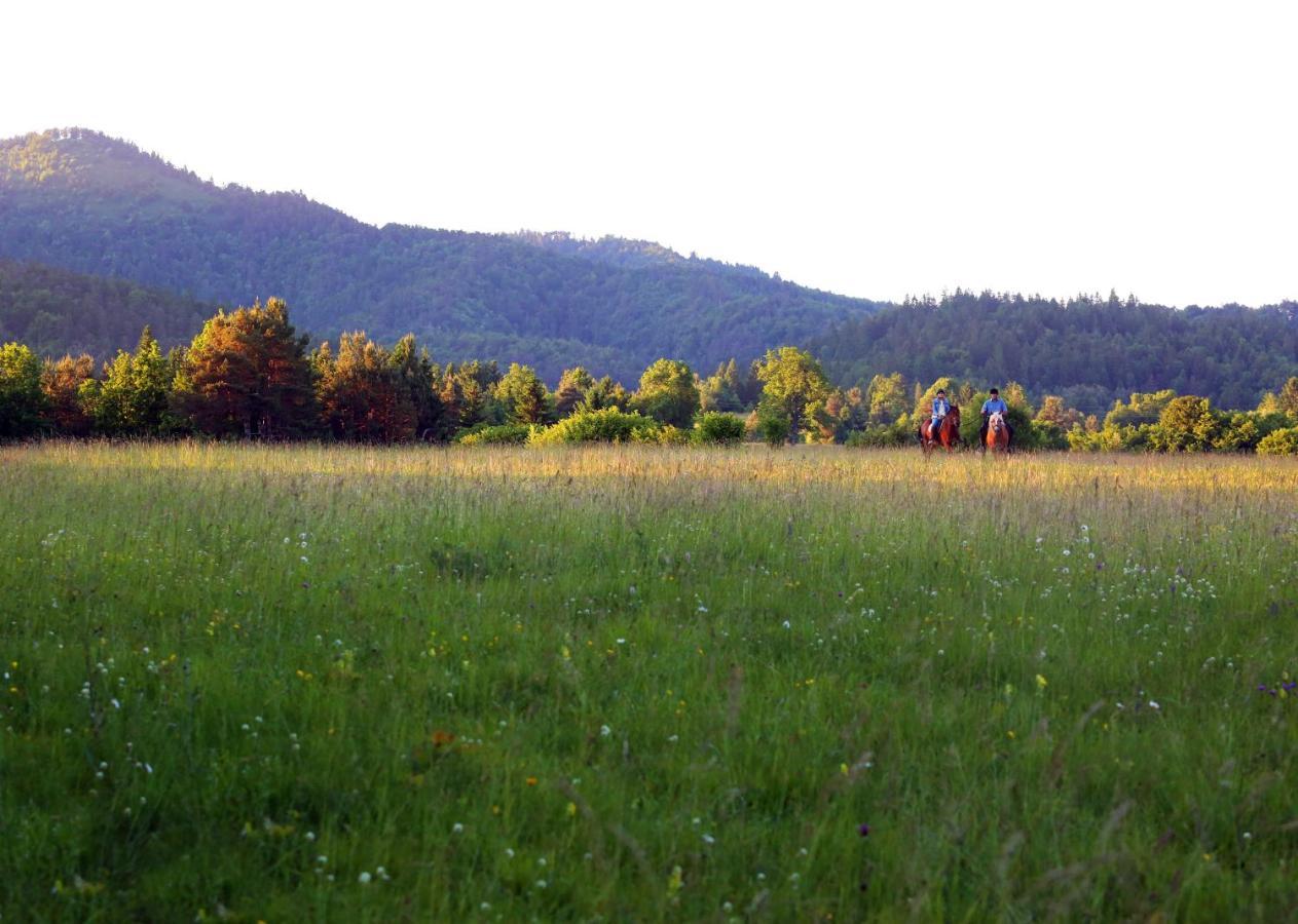 Notranjska Hisa - Traditional Country House, Close To The World Attraction Cerknica Lake Begunje pri Cerknici Kültér fotó